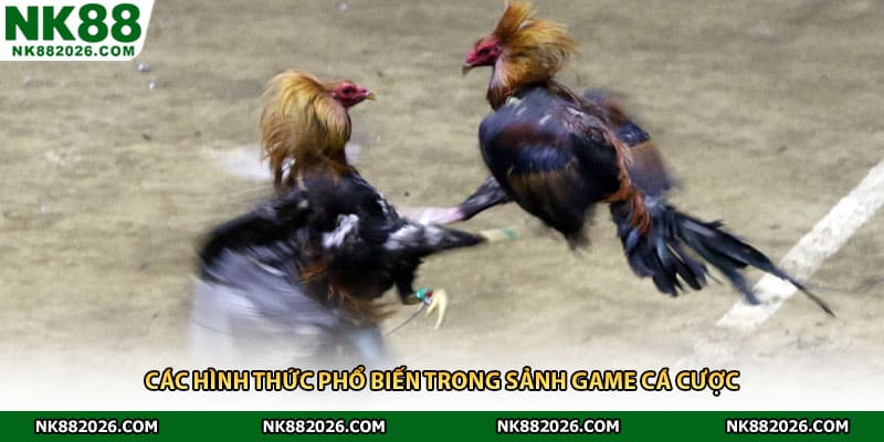 Các hình thức phổ biến trong sảnh game cá cược