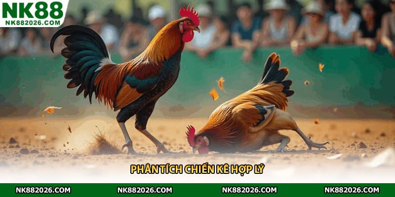 Phân tích chiến kê hợp lý