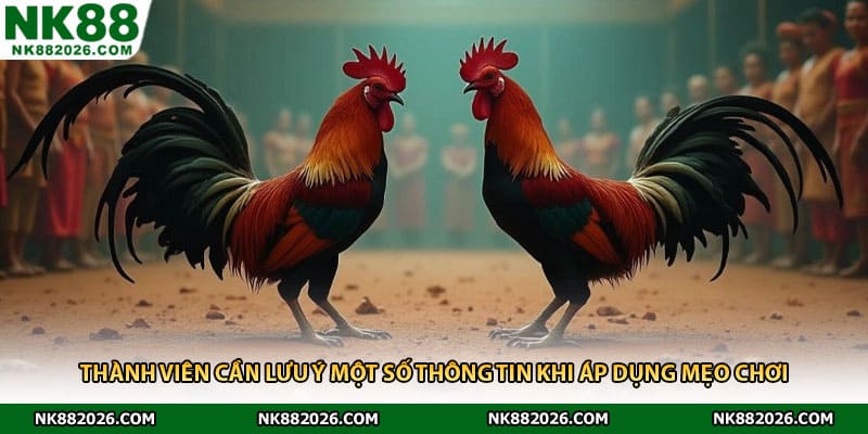 Thành viên cần lưu ý một số thông tin khi áp dụng mẹo chơi